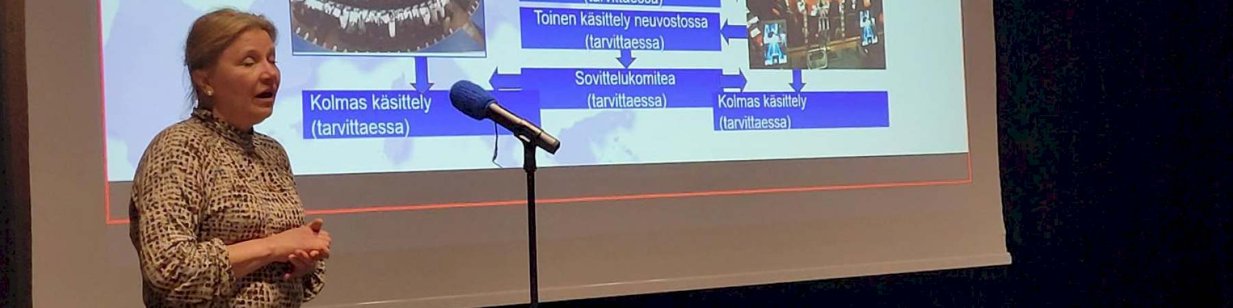 Vieraana tiedottaja Hannariikka Nieminen Euroopan parlamentin Suomen toimistosta