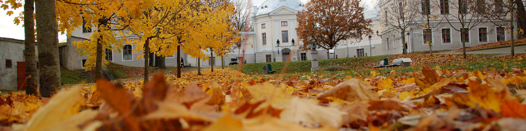 LOPPUUNMYYTY - Kansallisen senioriliiton matka Tarttoon